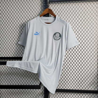 Camisa de Treino Palmeiras 23/24 - Puma Masculina Torcedor - Cinza