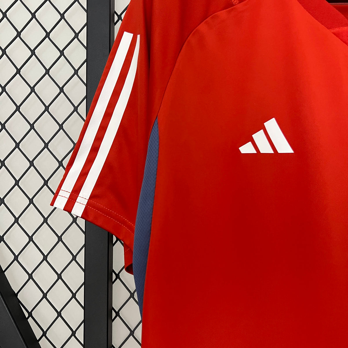 Camisa de Treino Cruzeiro 24/25 - Adidas