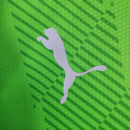 Camisa de Goleiro do Palmeiras 23/24 - Puma Masculina Torcedor