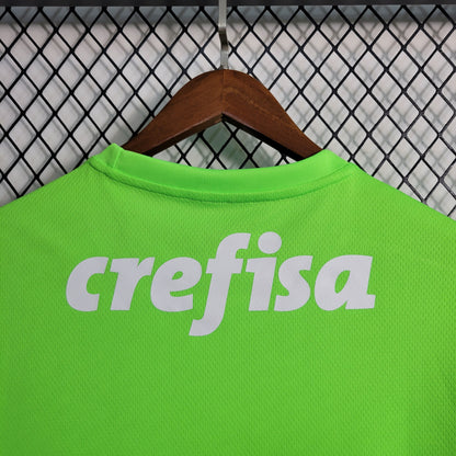Camisa de Goleiro do Palmeiras 23/24 - Puma Masculina Torcedor