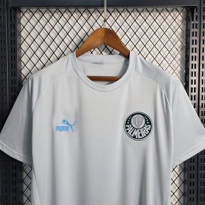Camisa de Treino Palmeiras 23/24 - Puma Masculina Torcedor - Cinza
