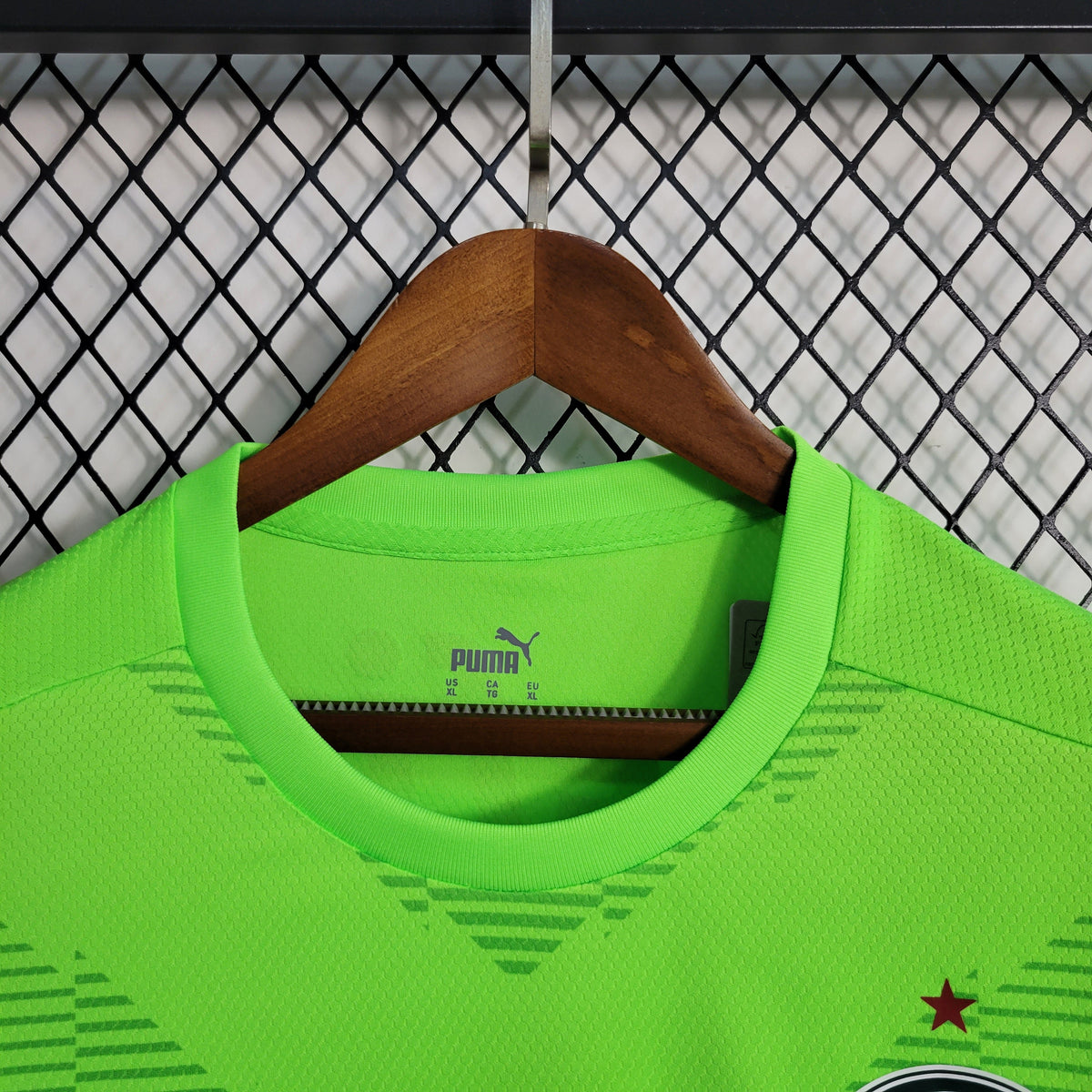 Camisa de Goleiro do Palmeiras 23/24 - Puma Masculina Torcedor