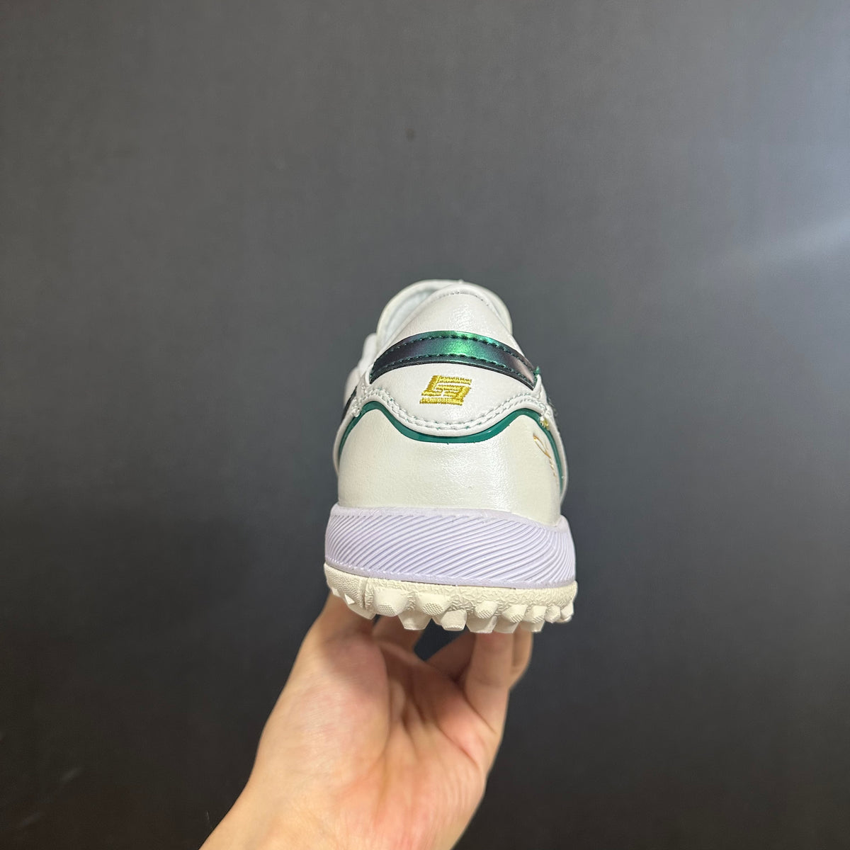 Asics Japão - Sociedade