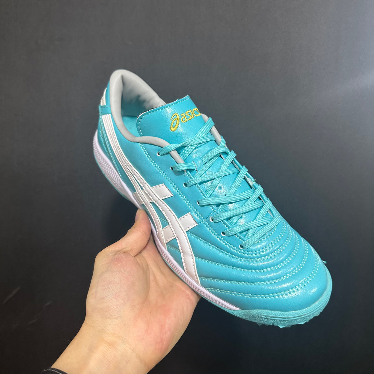 Asics Japão - Sociedade