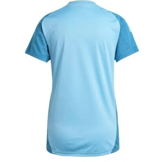Camisa de Treino Flamengo 25/26 Feminina