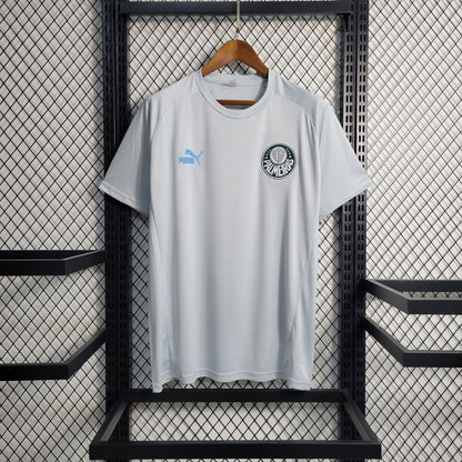 Camisa de Treino Palmeiras 23/24 - Puma Masculina Torcedor - Cinza