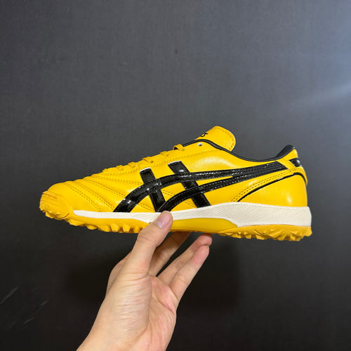Asics Japão - Sociedade