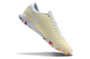 Nike Tiempo Legend 10 TF