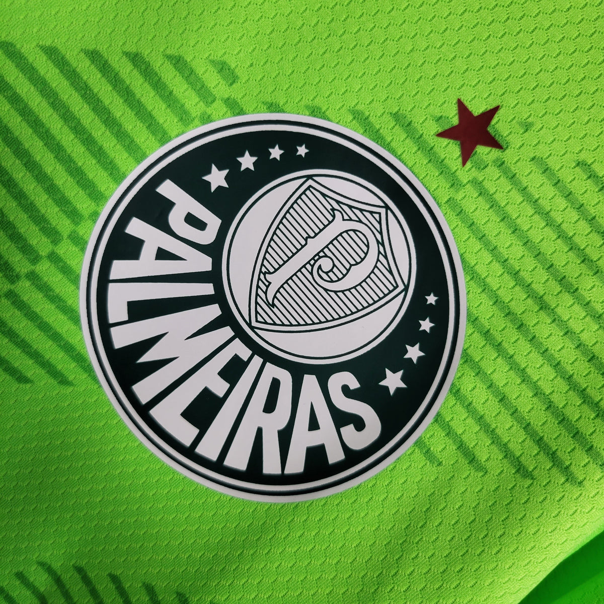 Camisa de Goleiro do Palmeiras 23/24 - Puma Masculina Torcedor