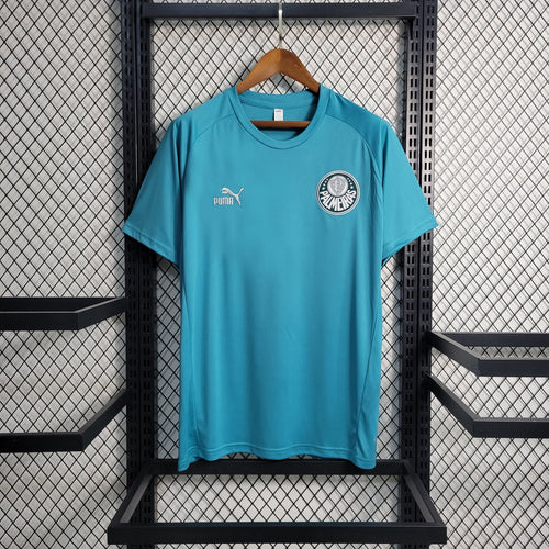 Camisa de Treino Palmeiras 23/24 - Puma Masculina Torcedor - Verde