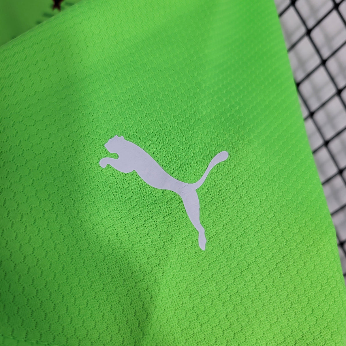 Camisa de Goleiro do Palmeiras 23/24 - Puma Masculina Torcedor