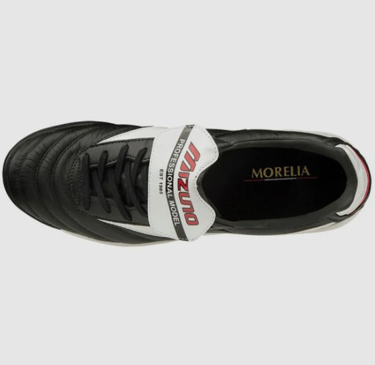 Mizuno Morelia