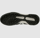 Mizuno Morelia