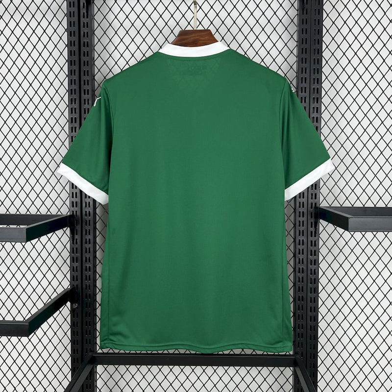 Camisa Palmeiras 25/26- Home Puma Torcedor Masculina